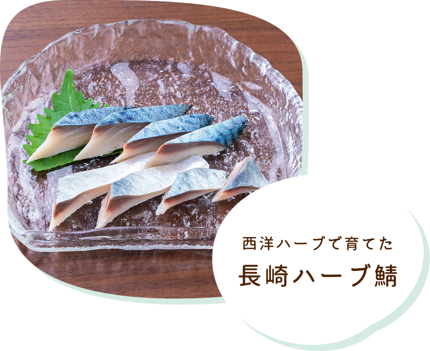 ハーブ鯖